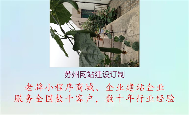 苏州网站建设订制，个性定制助您满足特殊需求1.jpg