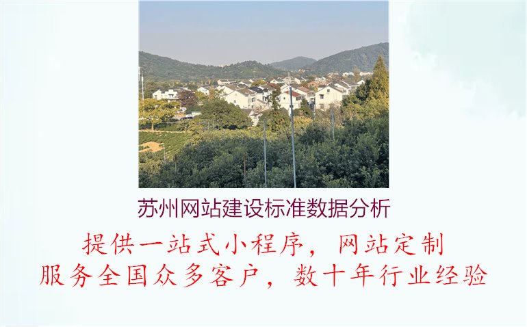 苏州网站建设标准数据分析，提升运营效率1.jpg