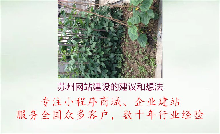 苏州网站建设的建议和想法1.jpg