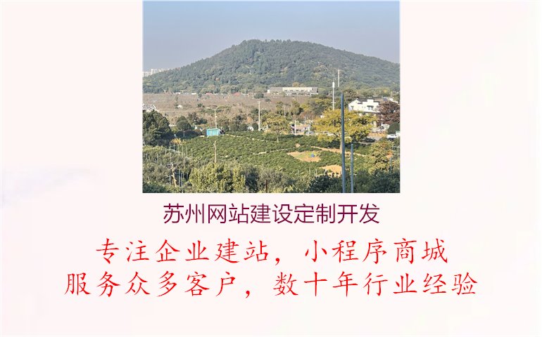 苏州网站建设定制开发1.jpg