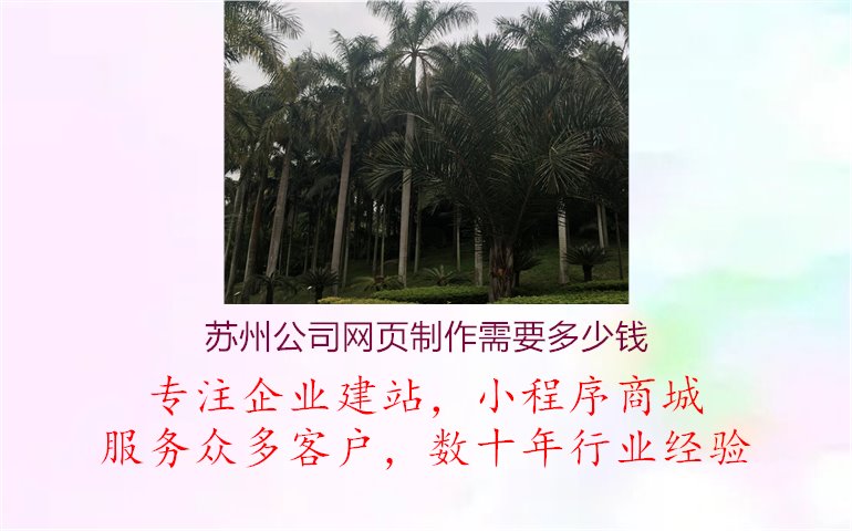 苏州公司网页制作需要多少钱1.jpg