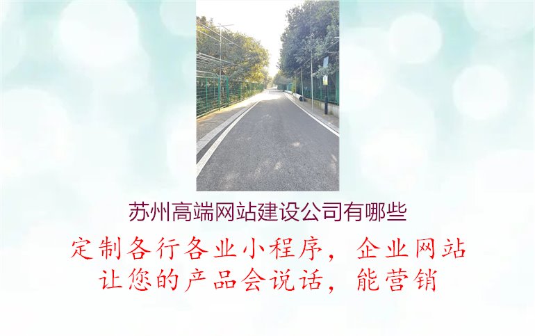 苏州高端网站建设公司有哪些1.jpg