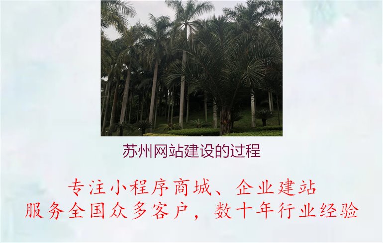 苏州网站建设的过程1.jpg