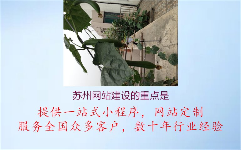 苏州网站建设的重点是1.jpg