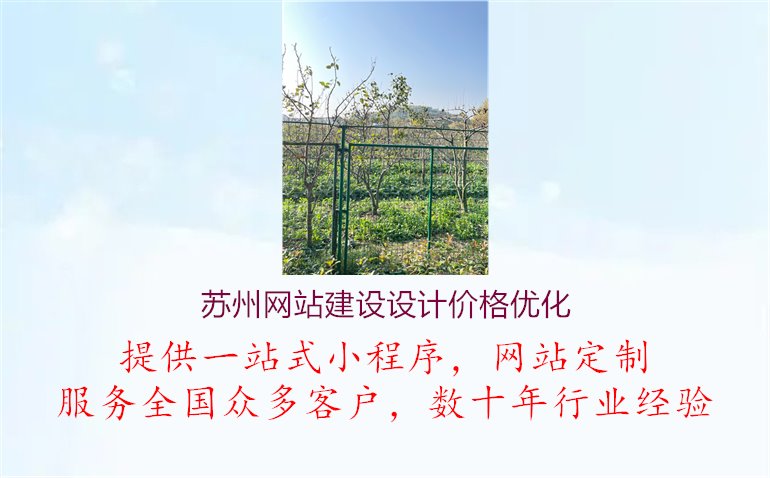 苏州网站建设设计价格优化1.jpg