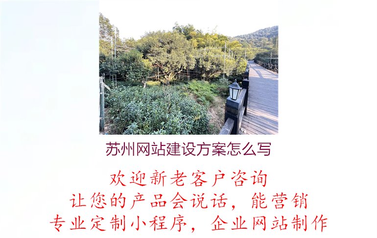 苏州网站建设方案怎么写1.jpg