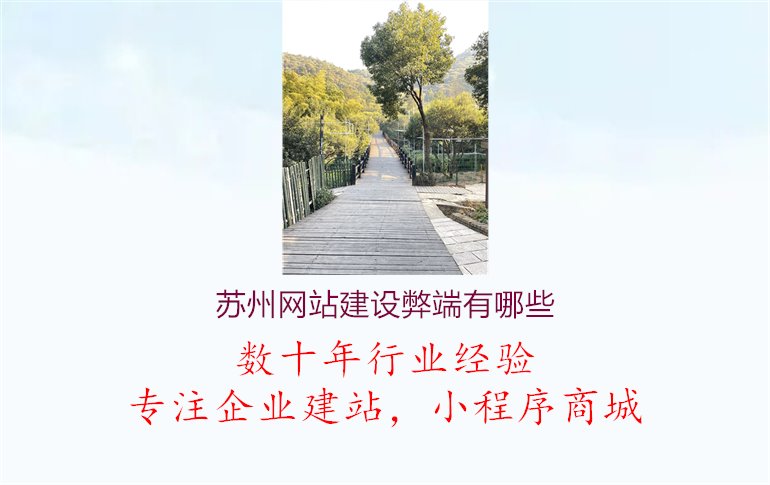 苏州网站建设弊端有哪些1.jpg