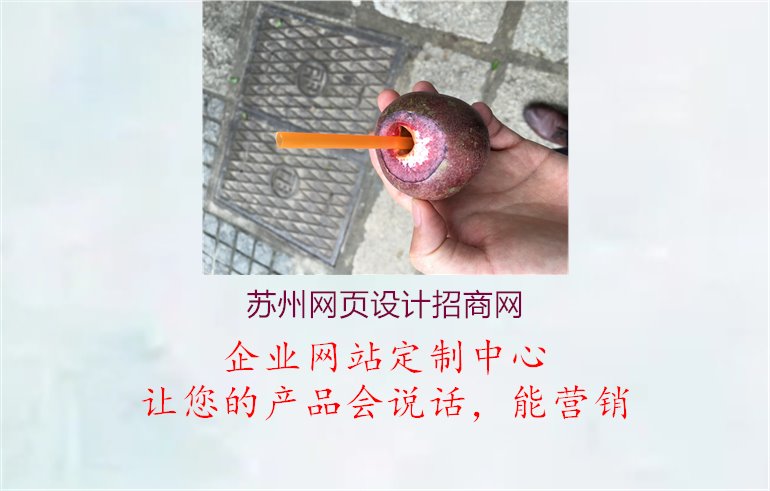 苏州网页设计招商网1.jpg