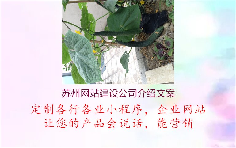 苏州网站建设公司介绍文案1.jpg