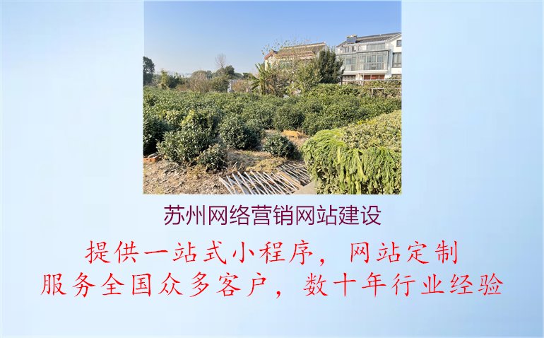 苏州网络营销网站建设1.jpg