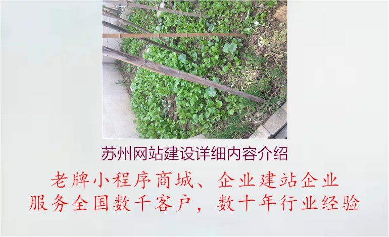 苏州网站建设详细内容介绍1.jpg