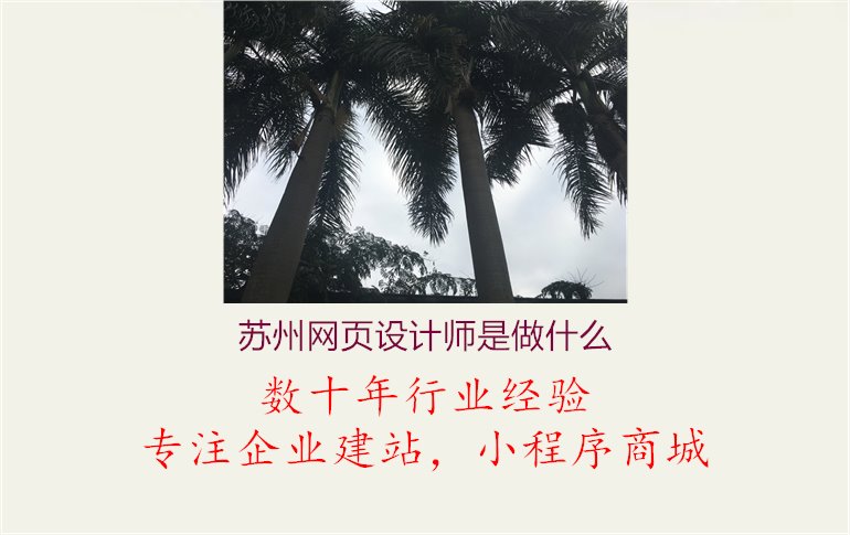 苏州网页设计师是做什么1.jpg