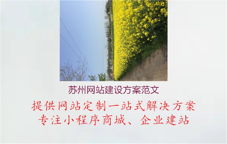 苏州网站建设方案范文1.jpg