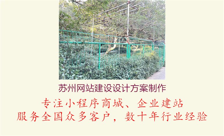 苏州网站建设设计方案制作1.jpg