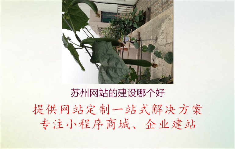 苏州网站的建设哪个好1.jpg