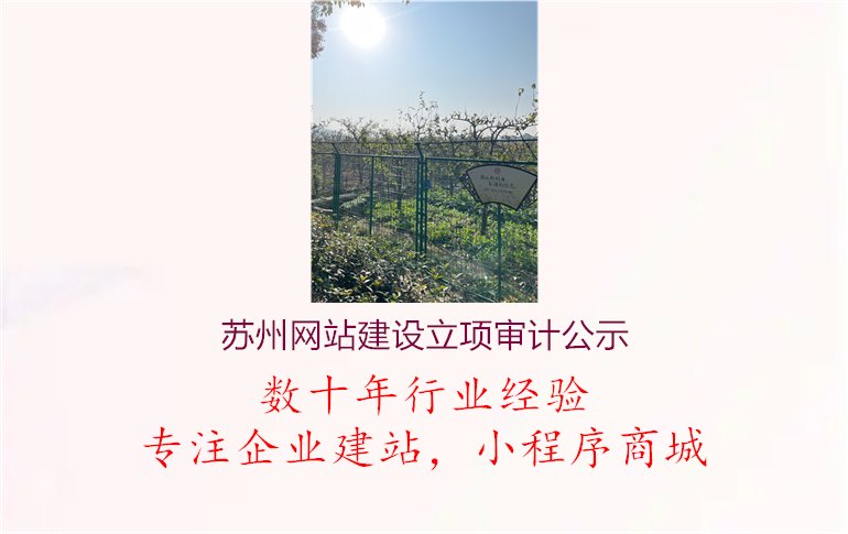 苏州网站建设立项审计公示1.jpg