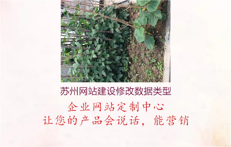 苏州网站建设修改数据类型1.jpg