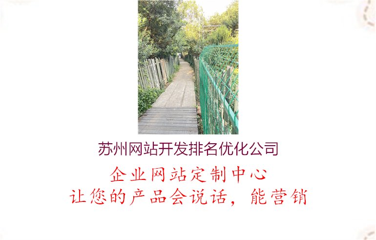 苏州网站开发排名优化公司1.jpg