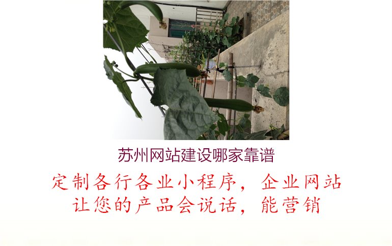 苏州网站建设哪家靠谱1.jpg