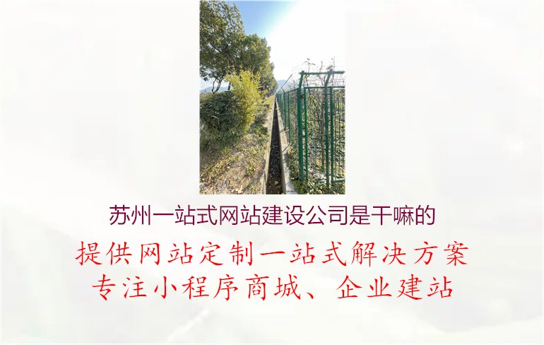 苏州一站式网站建设公司是干嘛的1.jpg