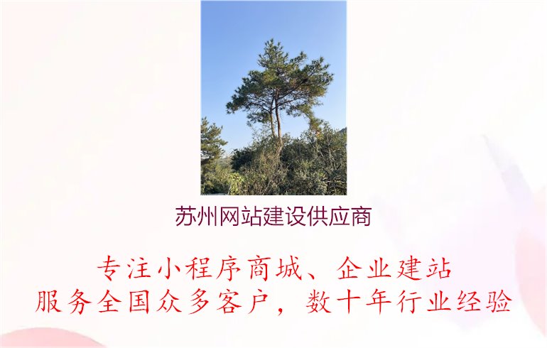 苏州网站建设供应商1.jpg