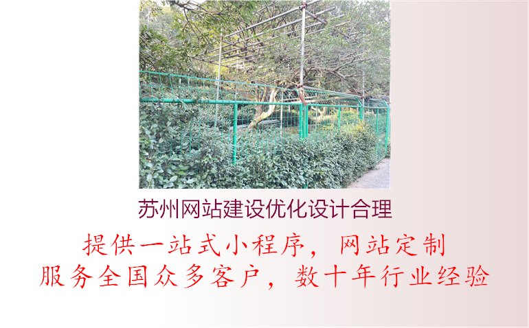 苏州网站建设优化设计合理.jpg