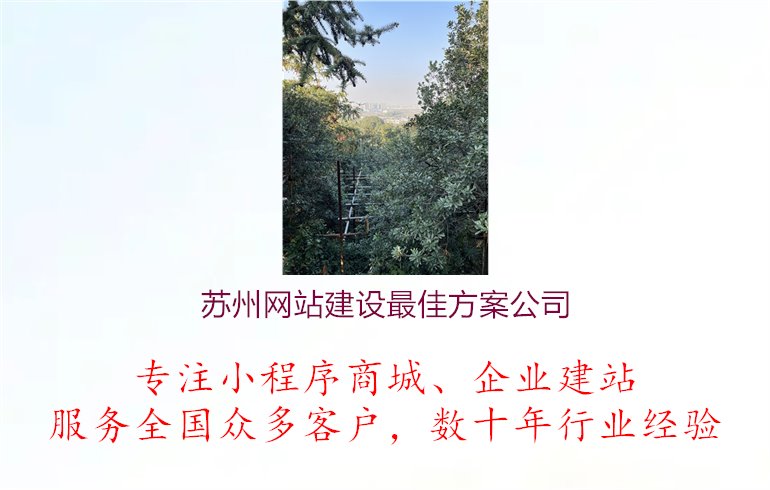 苏州网站建设最佳方案公司.jpg