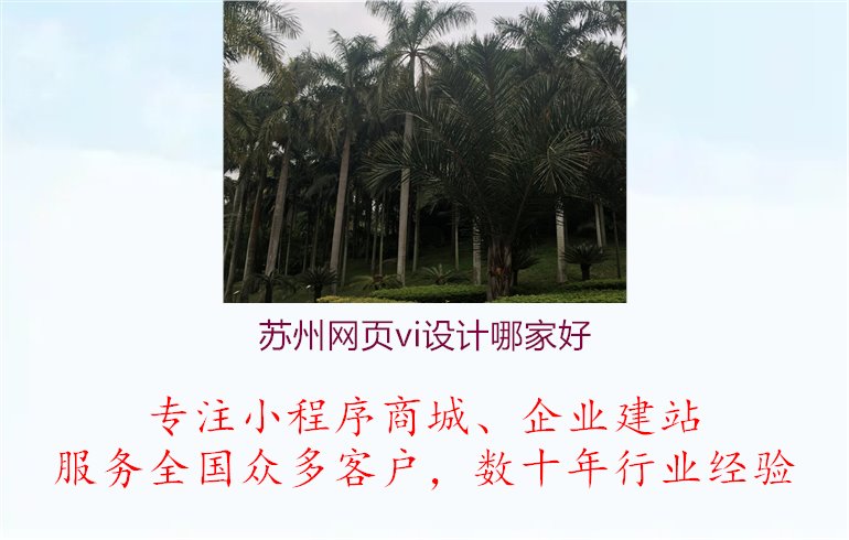 苏州网页vi设计哪家好.jpg