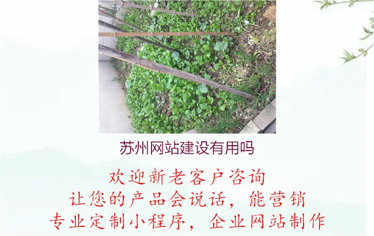 苏州网站建设有用吗.jpg