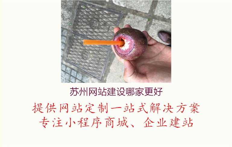 苏州网站建设哪家更好.jpg