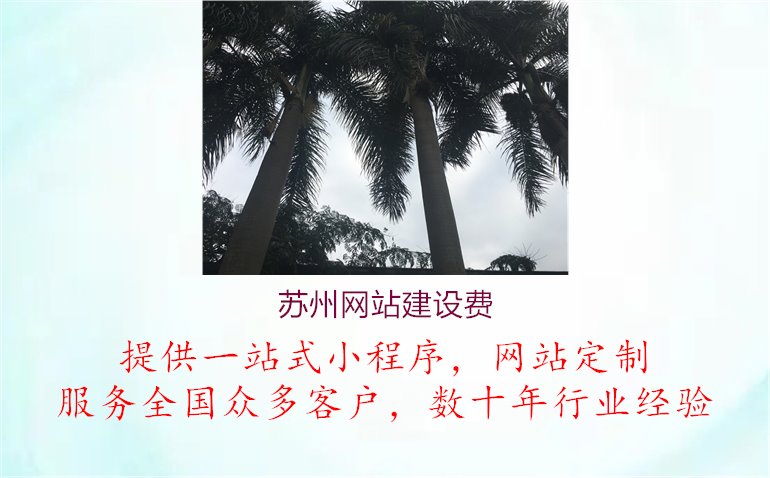 苏州网站建设费.jpg