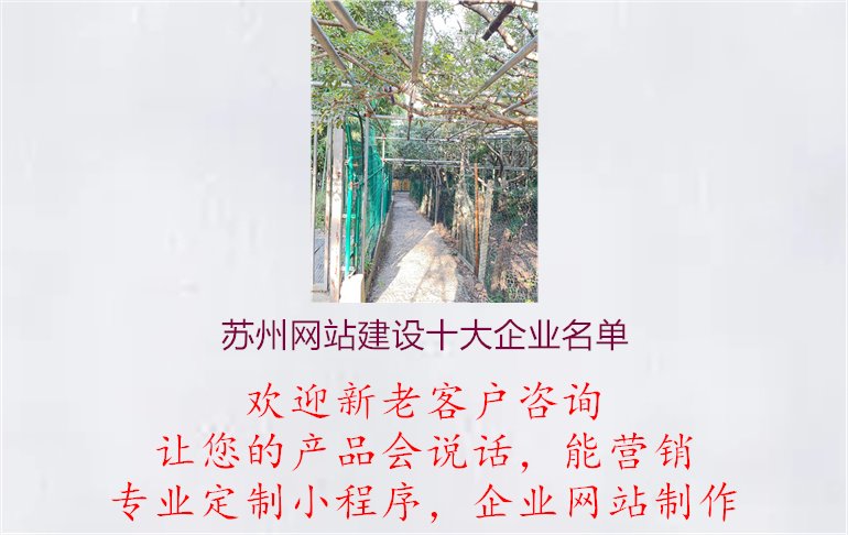 苏州网站建设十大企业名单.jpg