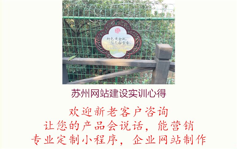 苏州网站建设实训心得.jpg