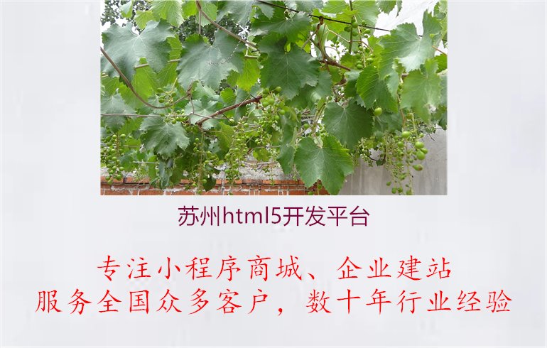 苏州html5开发平台.jpg