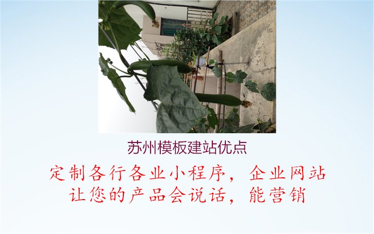 苏州模板建站优点.jpg