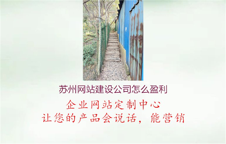 苏州网站建设公司怎么盈利.jpg