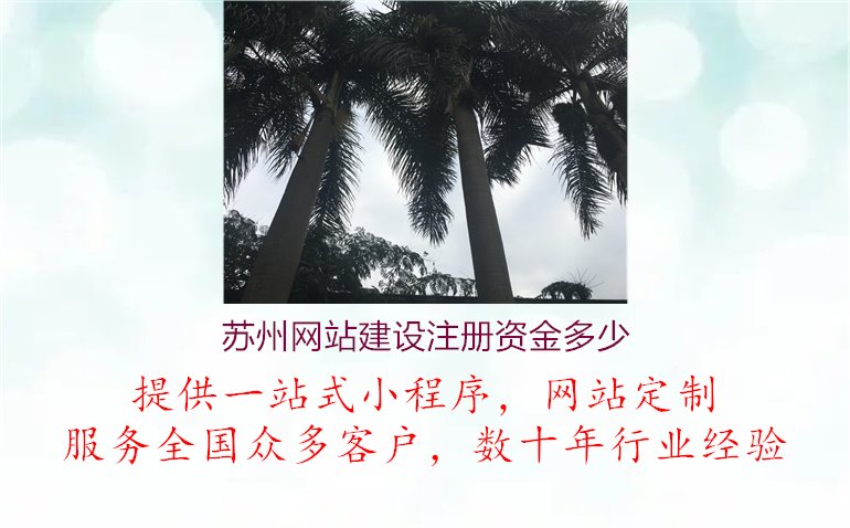 苏州网站建设注册资金多少.jpg