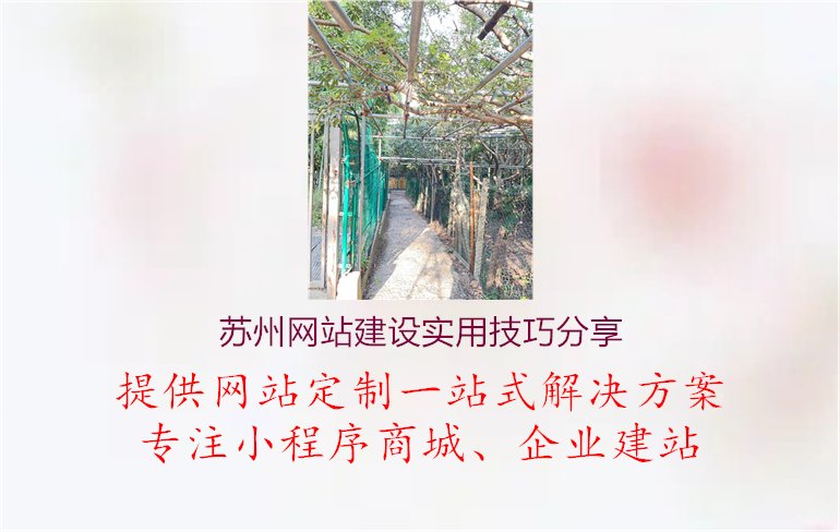 苏州网站建设实用技巧分享.jpg