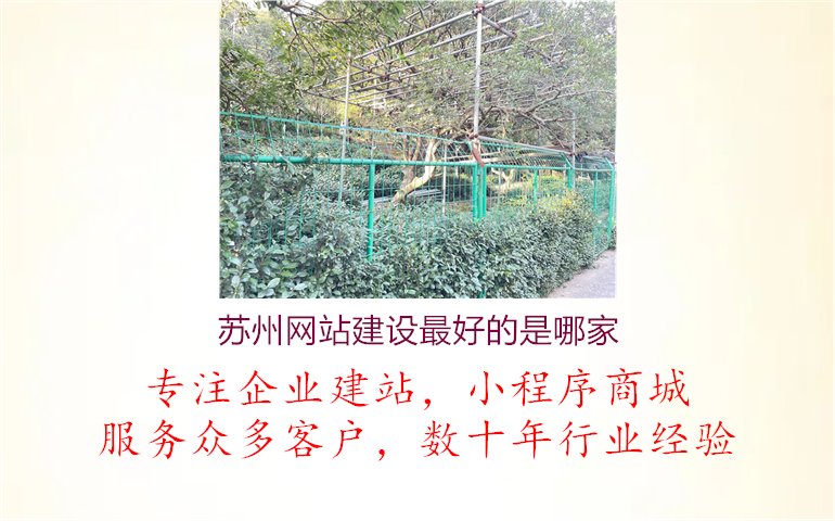 苏州网站建设最好的是哪家.jpg