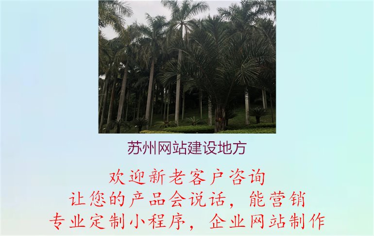 苏州网站建设地方.jpg