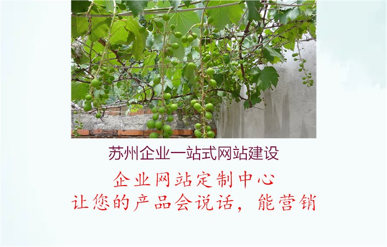 苏州企业一站式网站建设.jpg