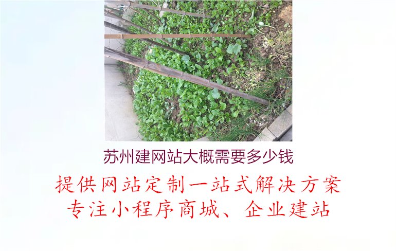 苏州建网站大概需要多少钱.jpg