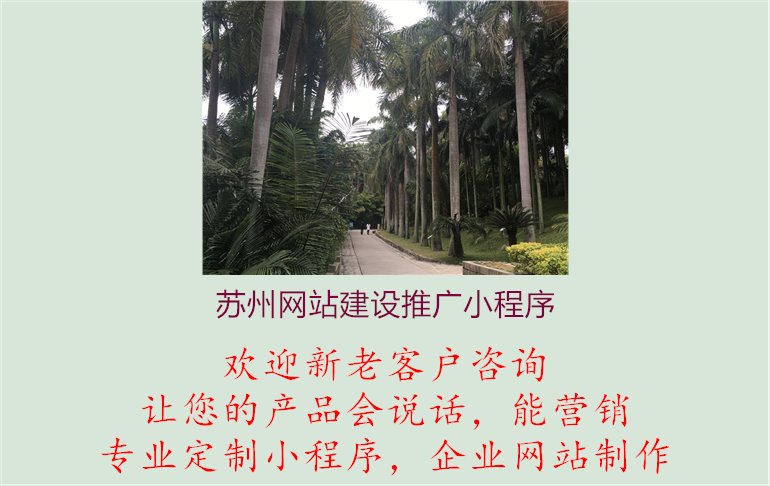 苏州网站建设推广小程序3.jpg