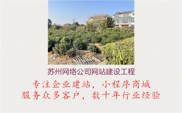 苏州网络公司网站建设工程3.jpg