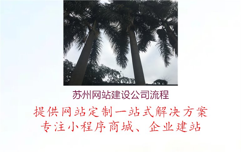 苏州网站建设公司流程1.jpg