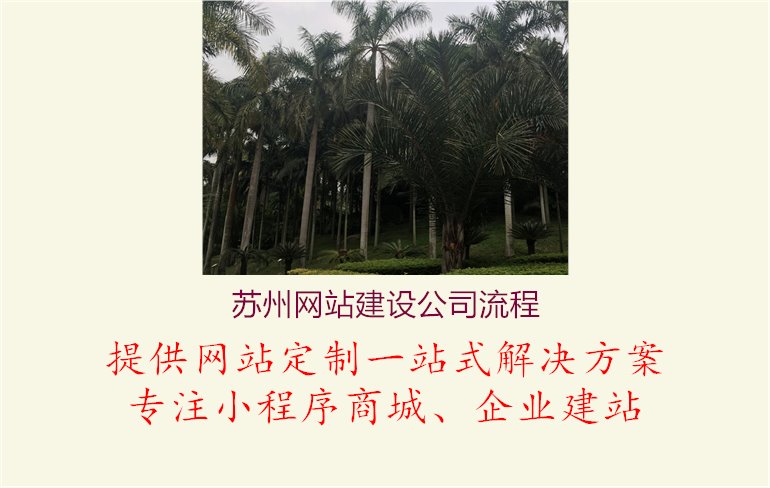 苏州网站建设公司流程2.jpg