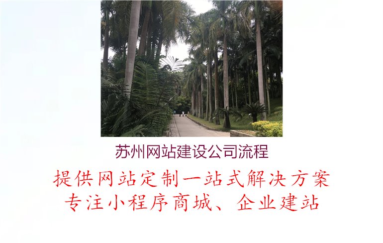 苏州网站建设公司流程3.jpg