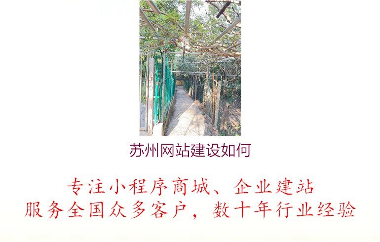 苏州网站建设如何2.jpg