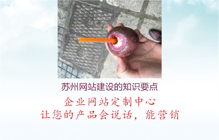 苏州网站建设的知识要点2.jpg