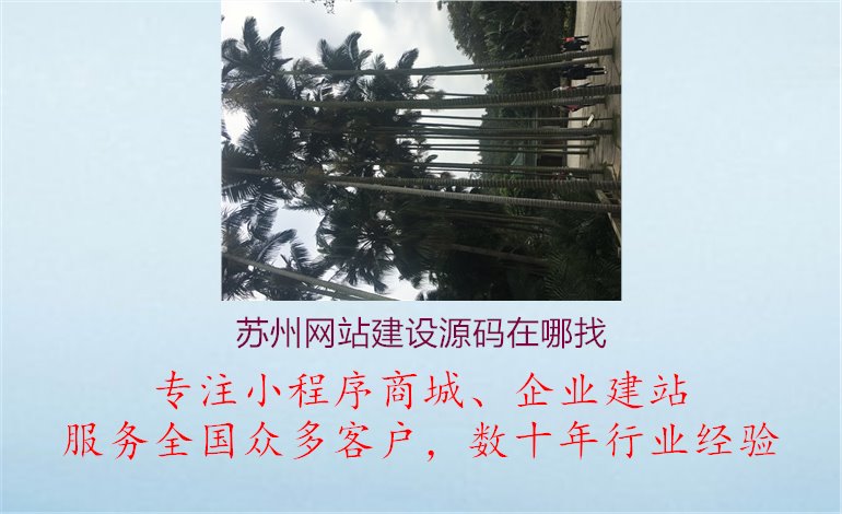 苏州网站建设源码在哪找2.jpg